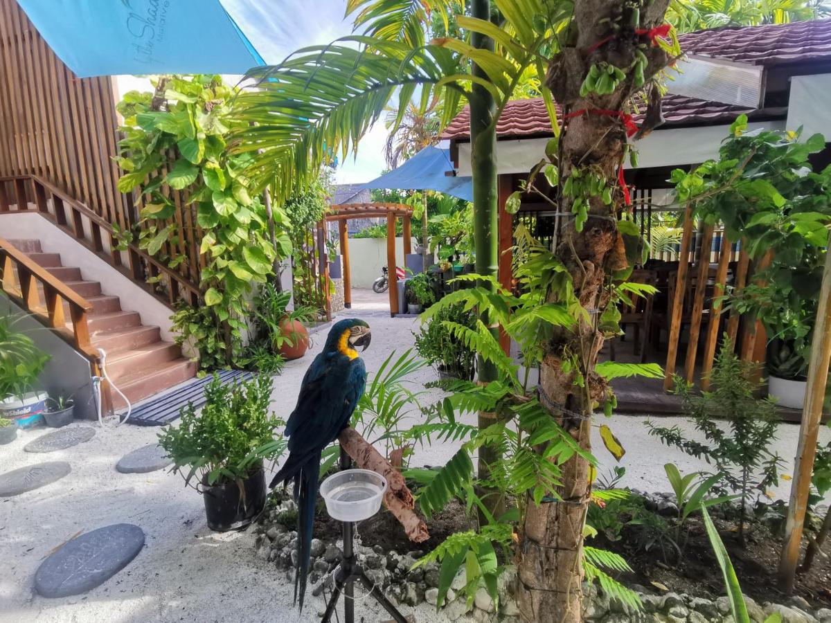 By The Shade Maldives Hotel Hangnaameedhoo Екстериор снимка